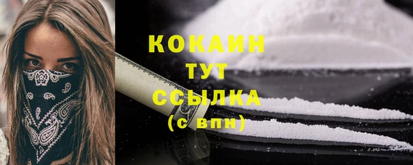 дживик Белокуриха