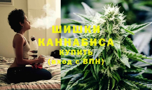 дживик Белокуриха