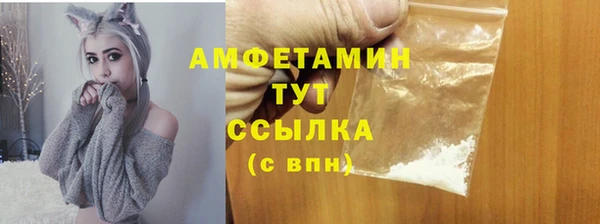 дживик Белокуриха
