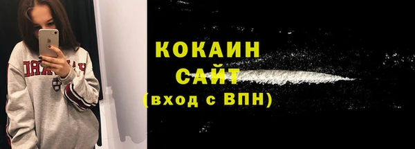 дживик Белокуриха