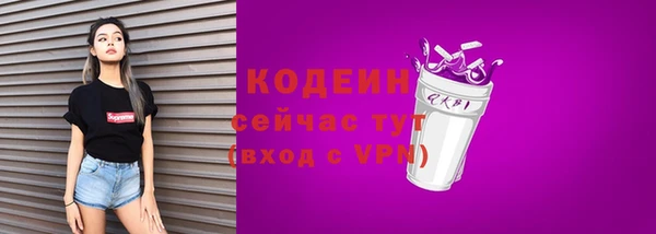 дживик Белокуриха