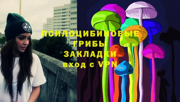 дживик Белокуриха